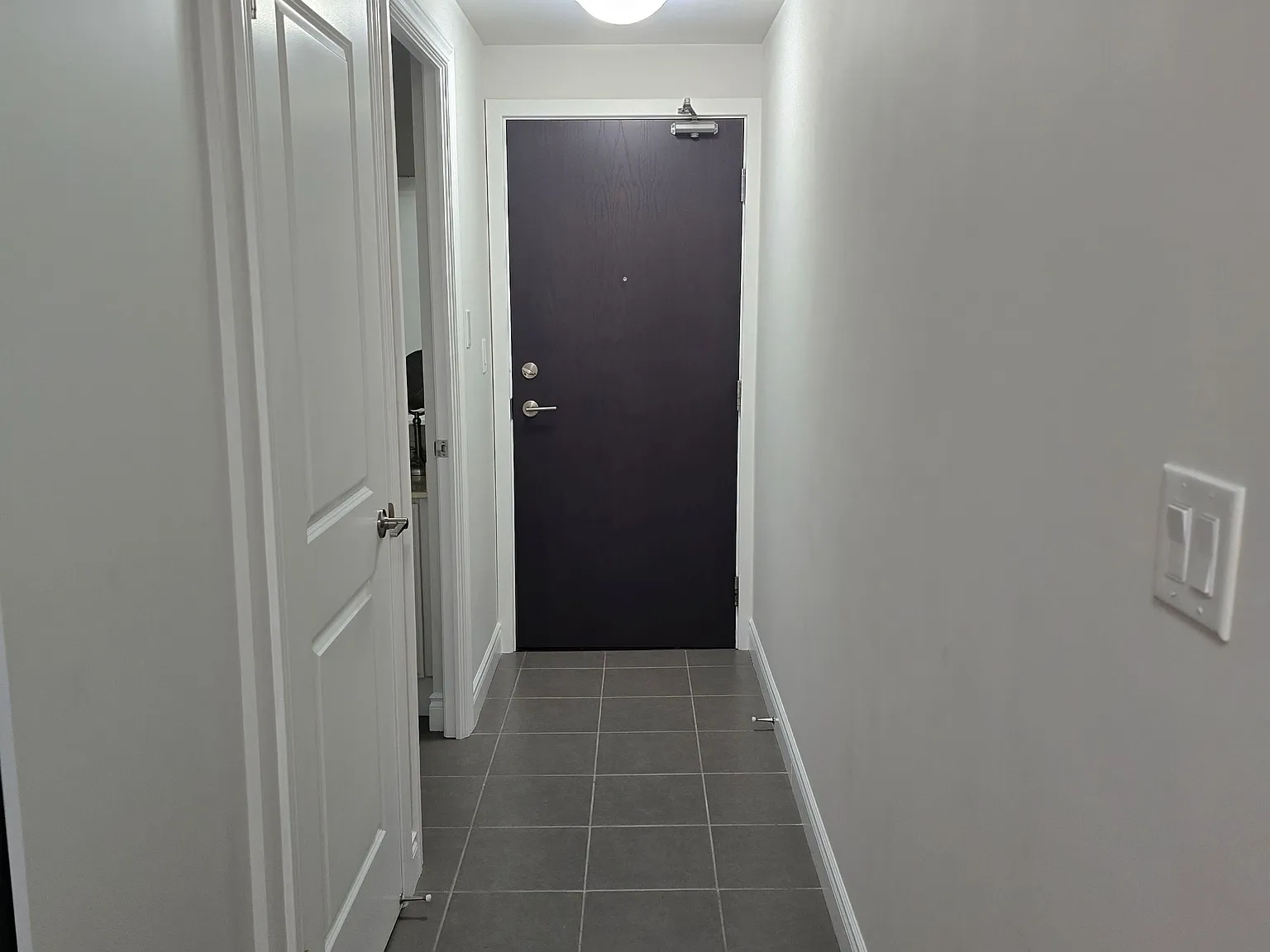 Rennaisance — Photo 3