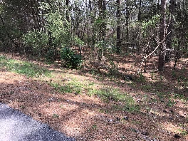 1st image of 146 Gigi Ln