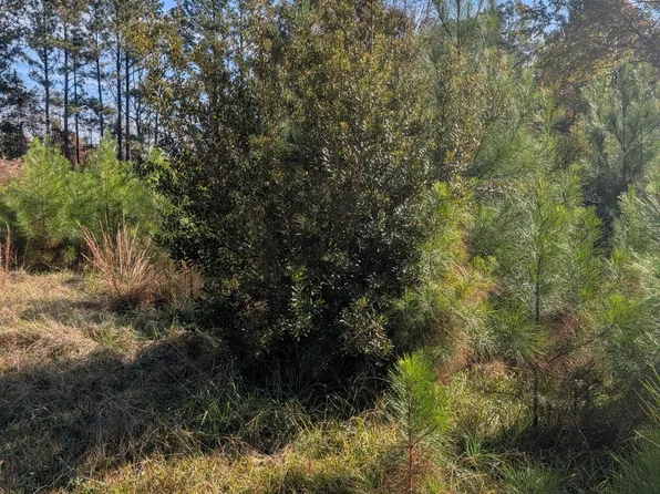 749 Highway 172, Hubert, NC 28539