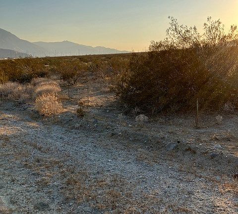 5th image of 13329 Fremontia Rd Lot 164