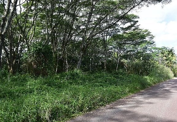 4th image of 20th Ave Lot 1405