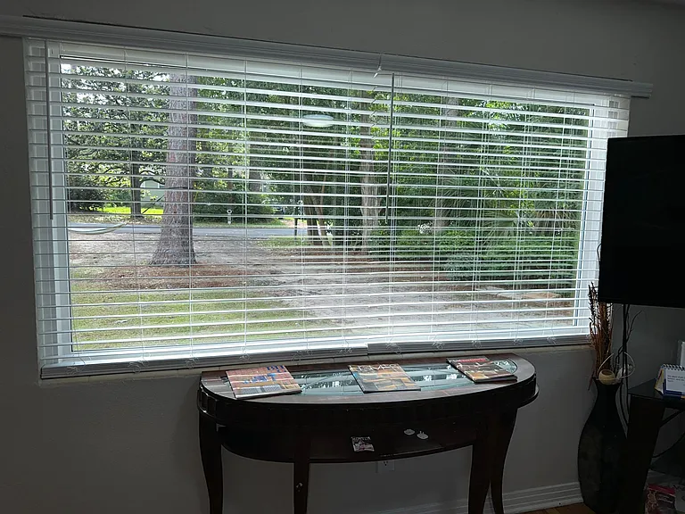 2116 W Dellview Dr — Photo 3