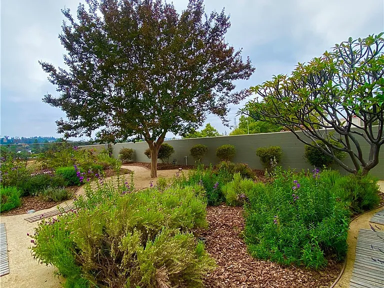 502 E Bonita Ave — Photo 14