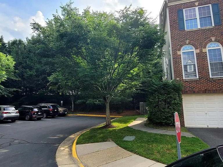 5386 Lavender Mist Ct — Photo 2