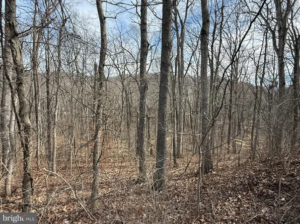 236-238 Howellsville Rd #239, Front Royal, VA 22630