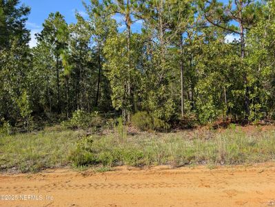 310 LAKE LUCY Circle, Interlachen, FL, 32148