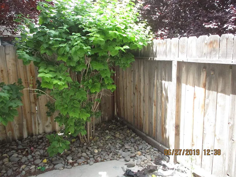 105 Justin Ln #A — Photo 10