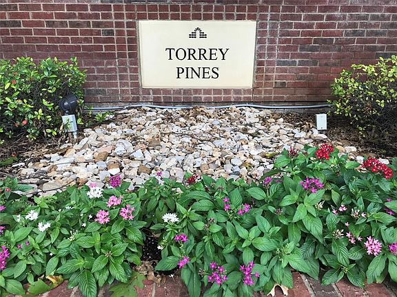 3rd image of 2623 Torrey Pines Dr