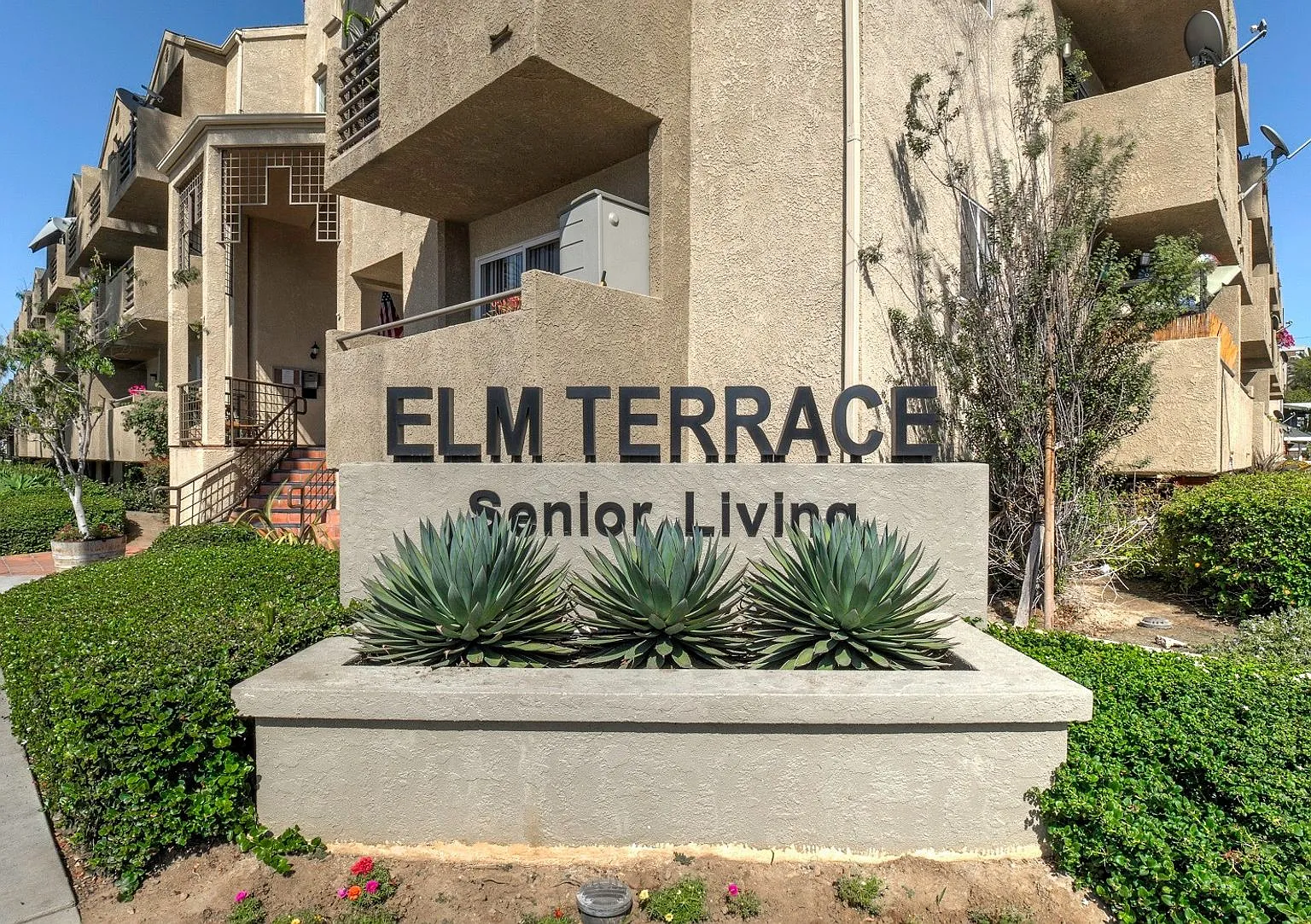 Elm Terrace Apartments — Photo 2