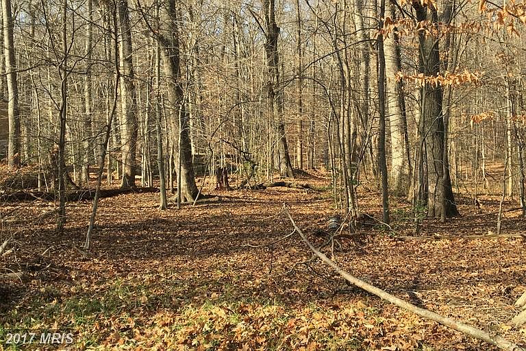 1st image of Forest Dr