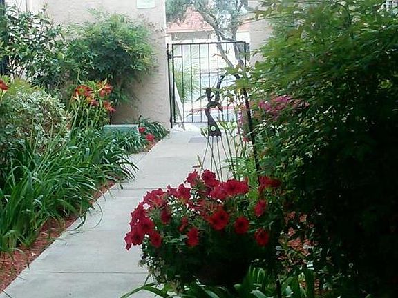 Building Courtyard