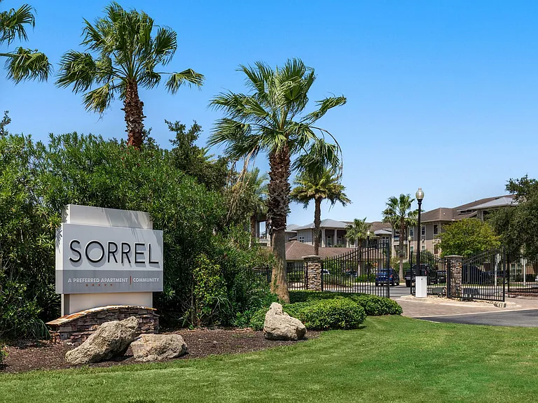 Sorrel — Photo 19