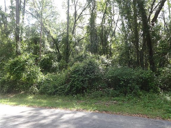 3rd image of 10525 N Orva Dr