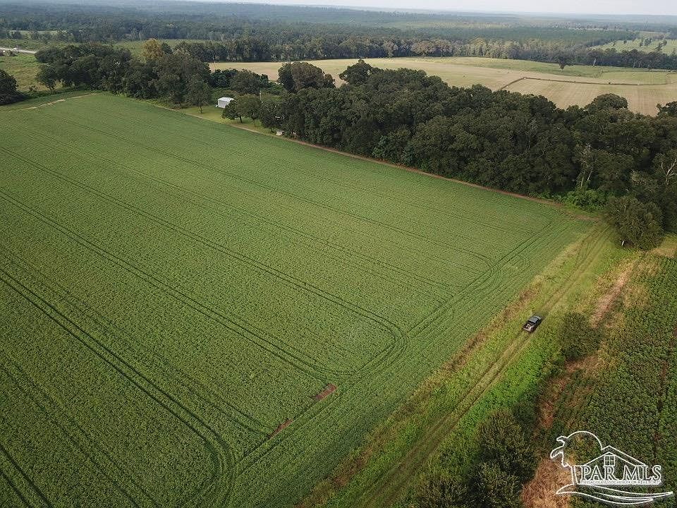 2nd image of 4 Acres Hwy #87