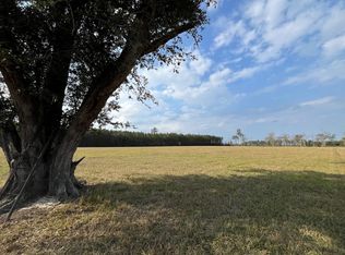 (Undisclosed Address), Walker, LA 70785