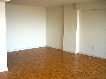 3rd image of 604 S Washington Sq APT 2805