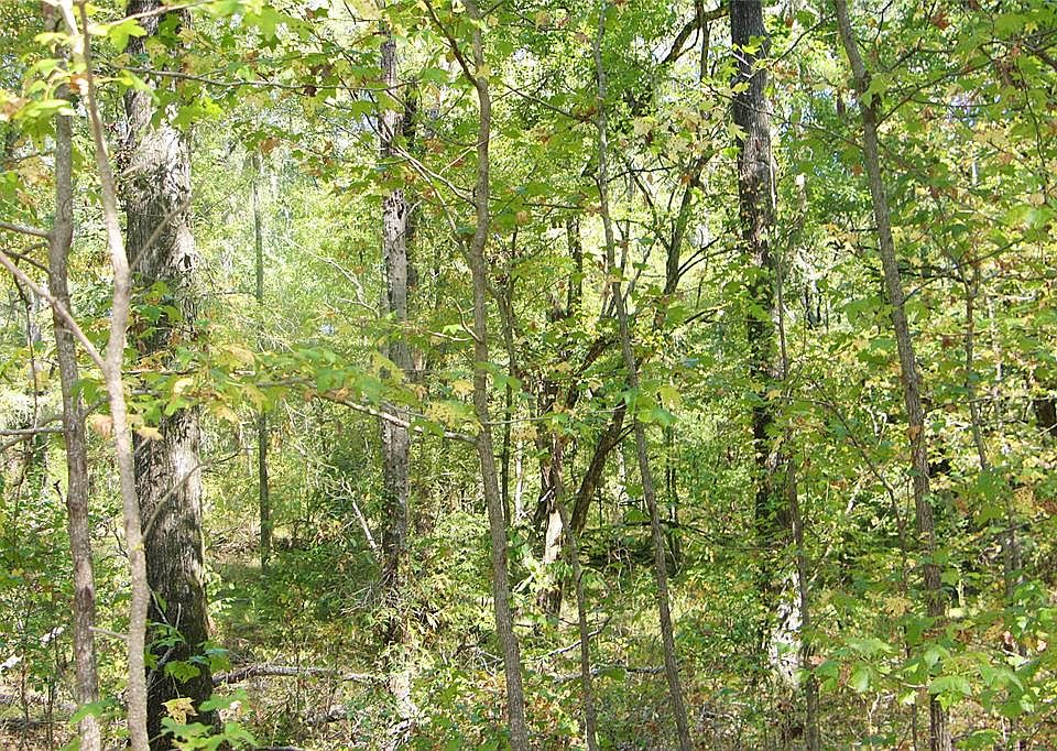 2nd image of 637 Judkins Rd