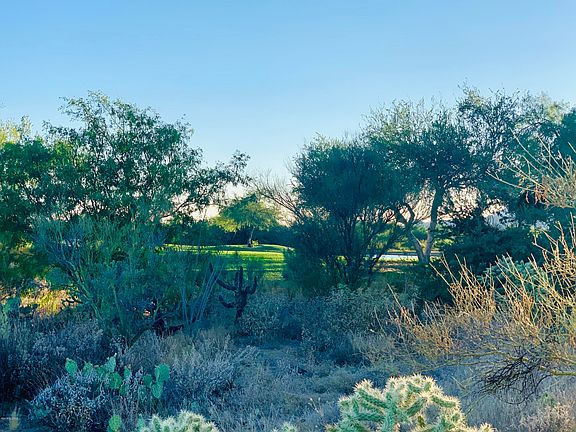 2nd image of 14371 N Giant Saguaro Pl #29