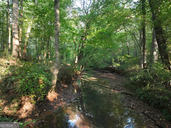 0 Shady Grove Rd, Carrollton, GA 30116