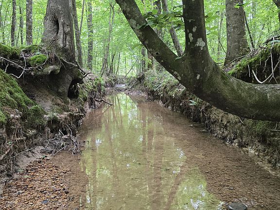 2nd image of Pearson Rd