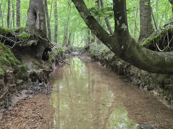 Pearson Rd, Stewart, MS 39767