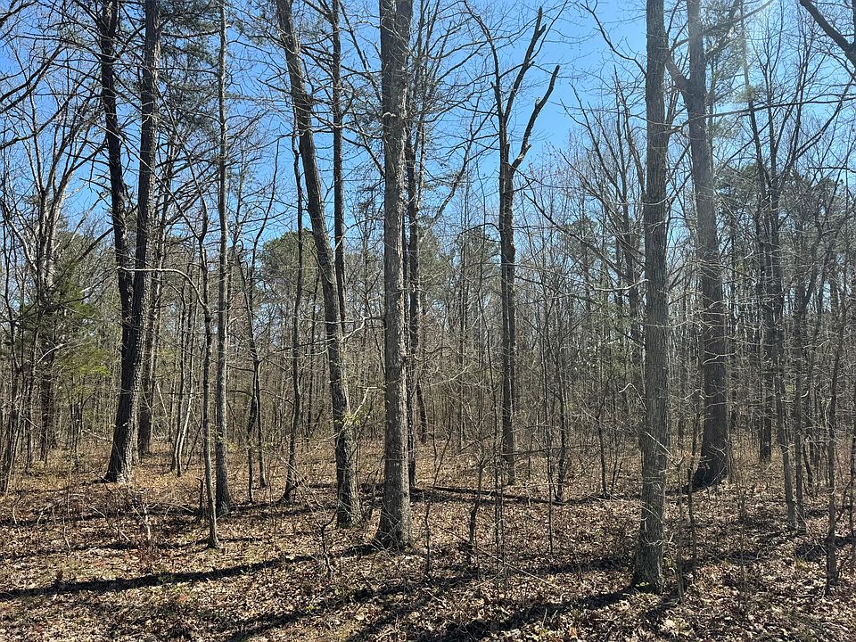 2nd image of 0 W Bluff Rd