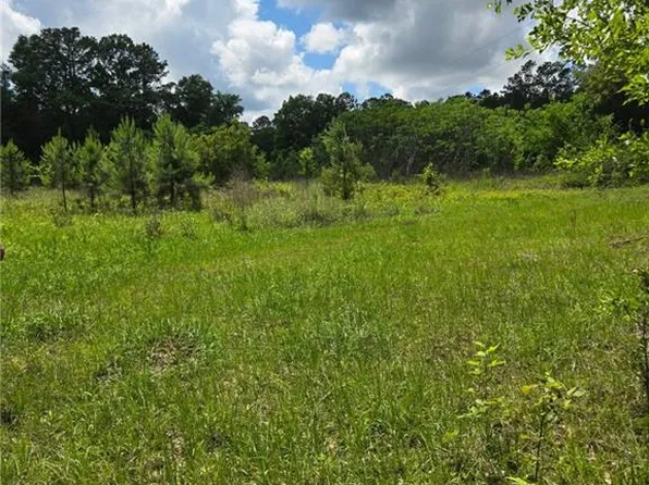 21340 N Taylor Rd, Bush, LA 70431
