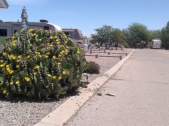 2nd image of N Agave St #A-46