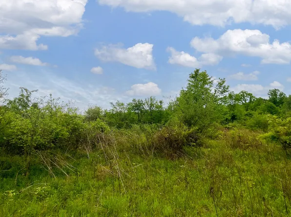 0 Halleys Ridge Rd, Caldwell, OH 43724