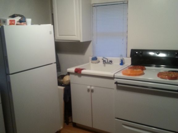 Kitchen in the mother in law suite