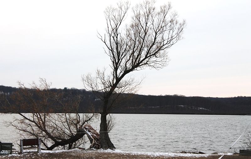 Beautiful Budd Lake
