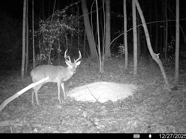 Bear Creek Rarden Rd, Lucasville, OH 45648