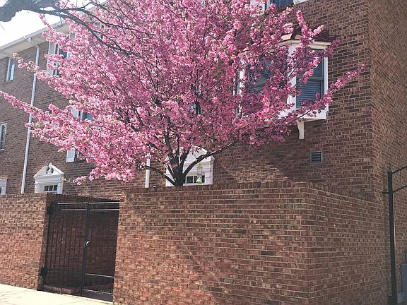 2nd image of 233 E 2nd St