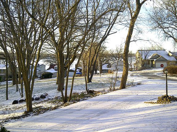 view from driveway to lake