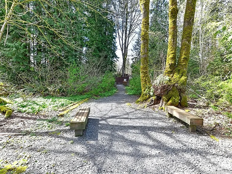 2201 192nd St SE — Photo 11