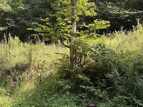 2nd image of 115 Hughes Hollow Rd