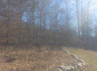 290 Lone Oak Dr, Senoia, GA 30276