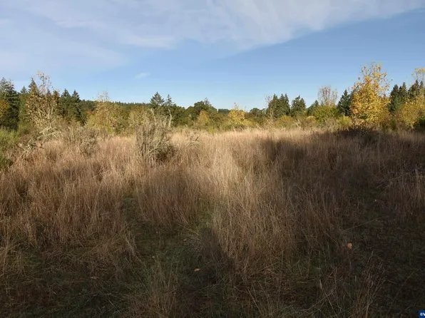 0 Mill Creek Rd, Sheridan, OR 97378