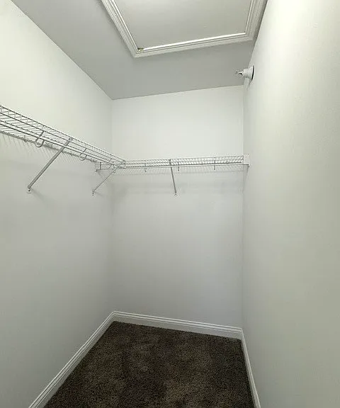 2479 Frost Dr — Photo 20