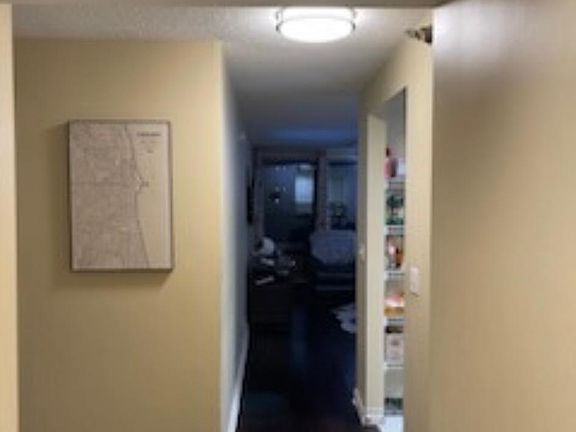 4th image of 440 N Wabash Ave APT 2006