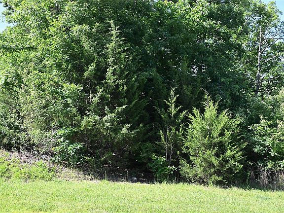 3rd image of 1018 Sycamore Creek Dr