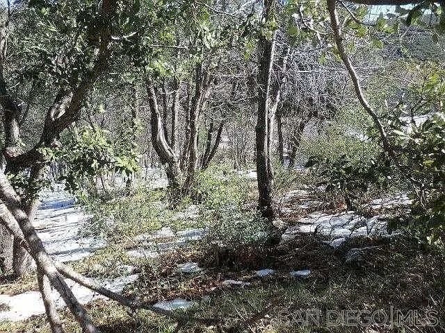 2nd image of 0 Highland Dr #266