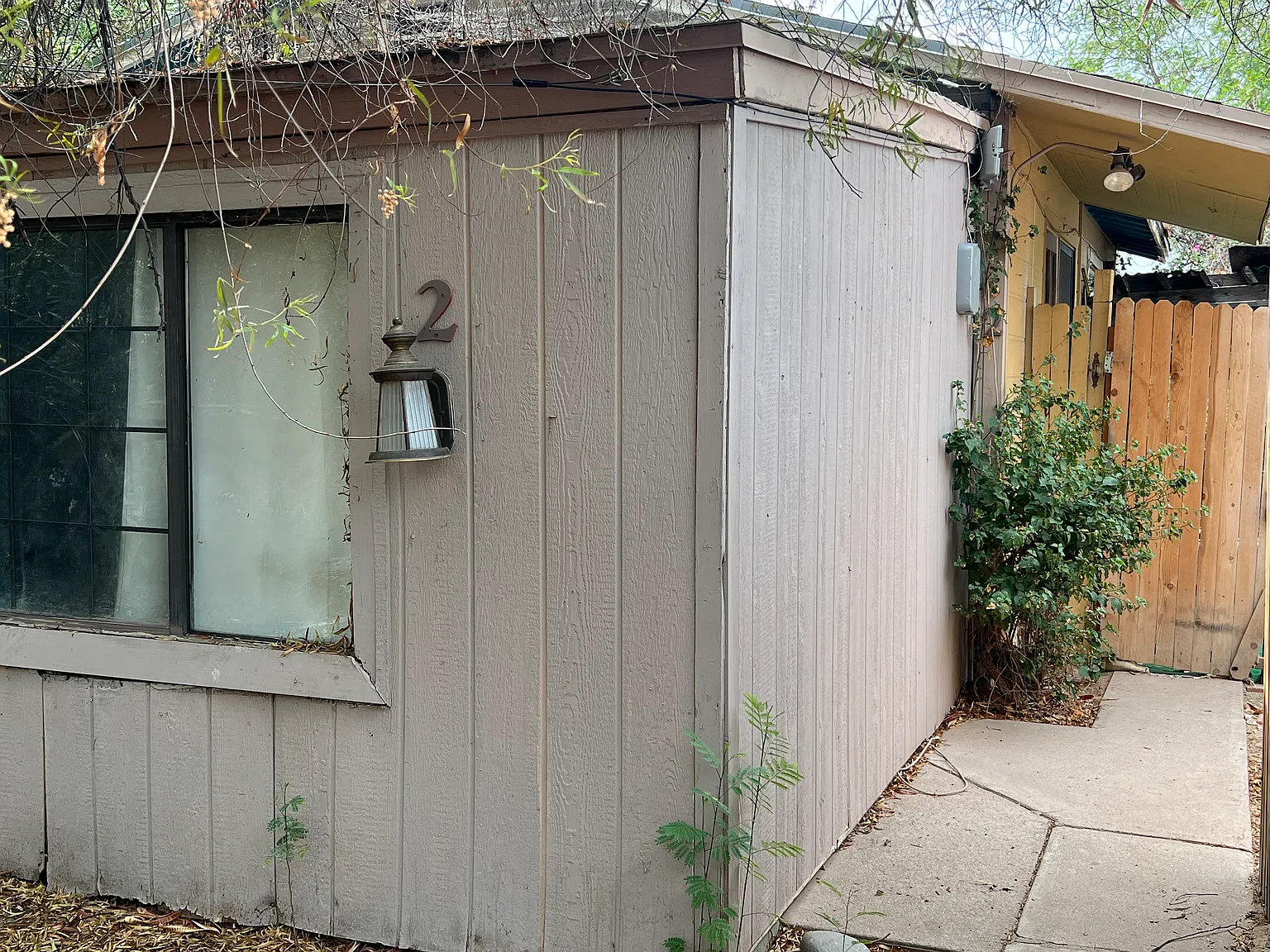 1 bed, $800 — Photo 1