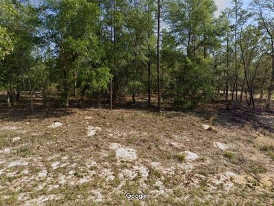 657 E Bimini Dr, Citrus Springs, FL, 34434