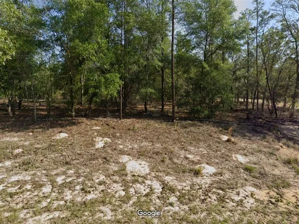 657 E Bimini Dr, Citrus Springs, FL 34434