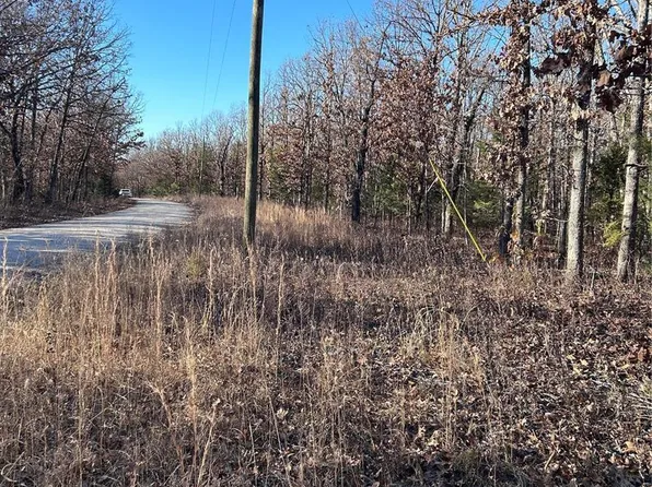 0 Fire Tower Rd, Steelville, MO 65565