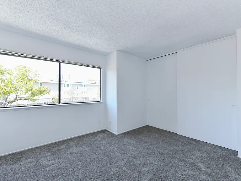 3636 Shelter Creek Dr — Photo 20