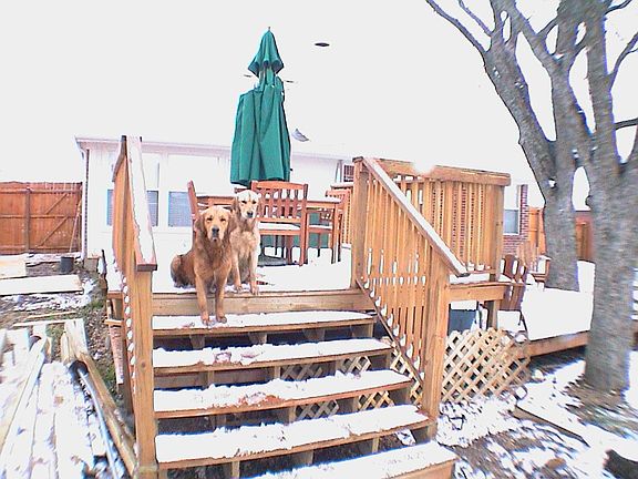 Deck