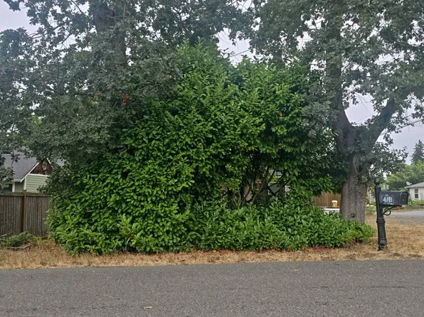 419 South St, Pt Orchard, WA 98366