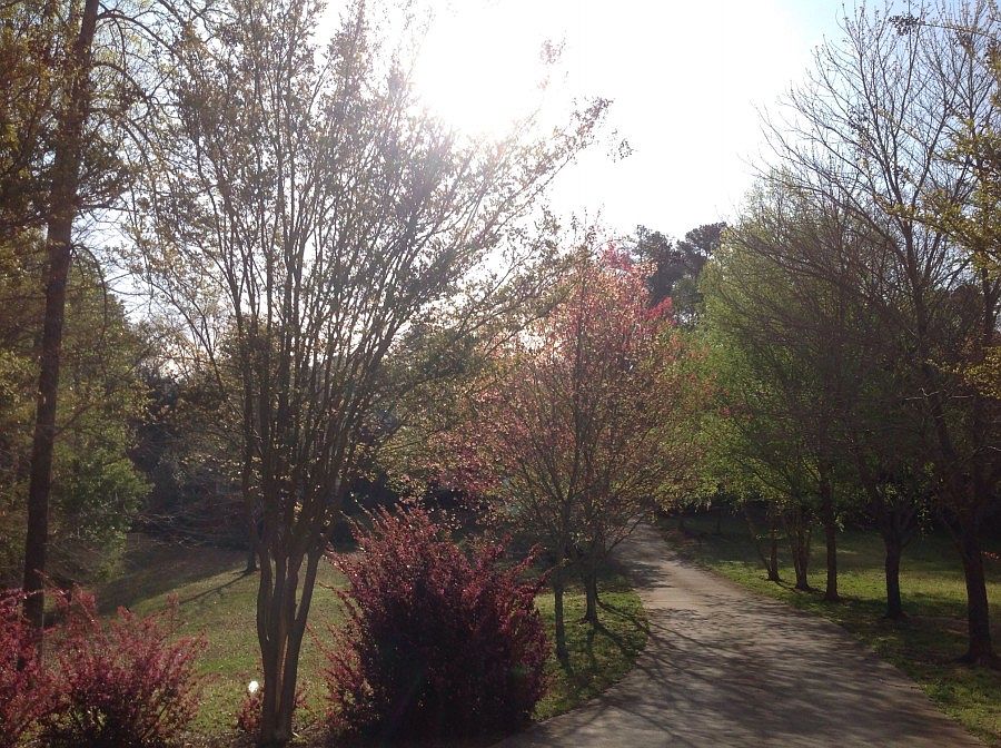 2nd image of 4865 Moore Rd